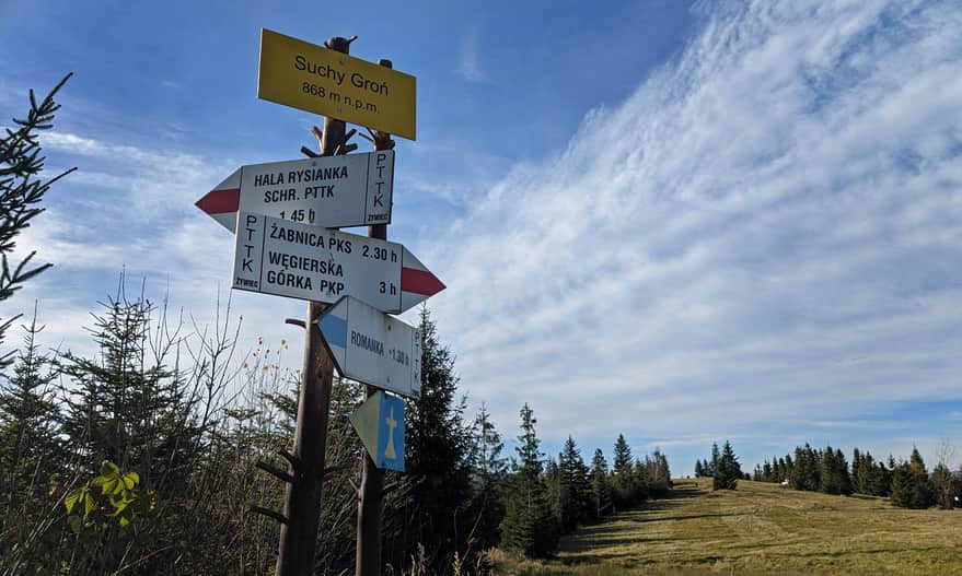 Suchy Groń - trail junction