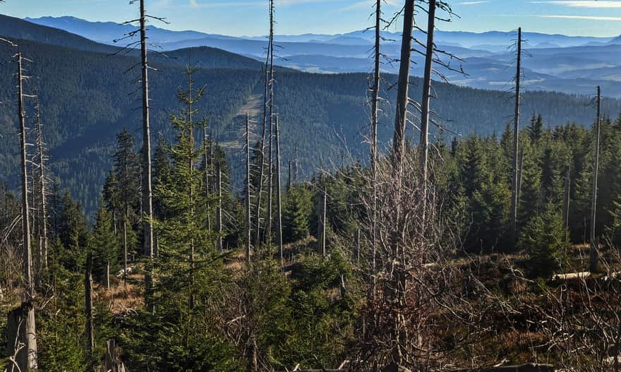 Widok na Tatry spod szczytu Romanki