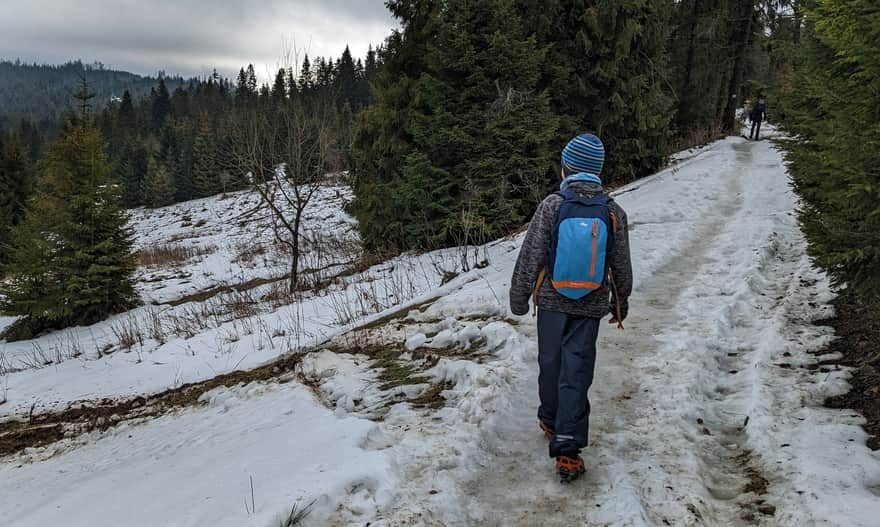 Winter trails in the Beskids