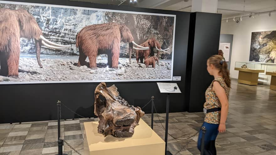 Muzeum Miedzi w Legnicy - wystawa czasowa