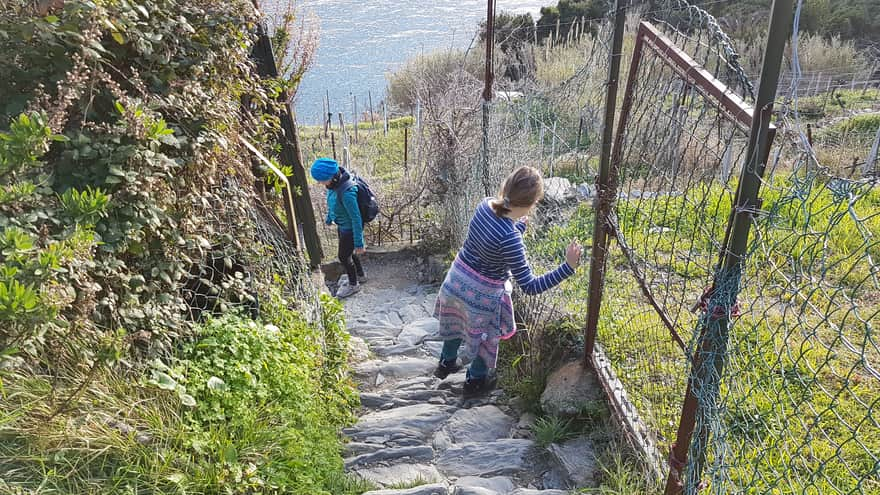 Monterosso - Vernazza Trail