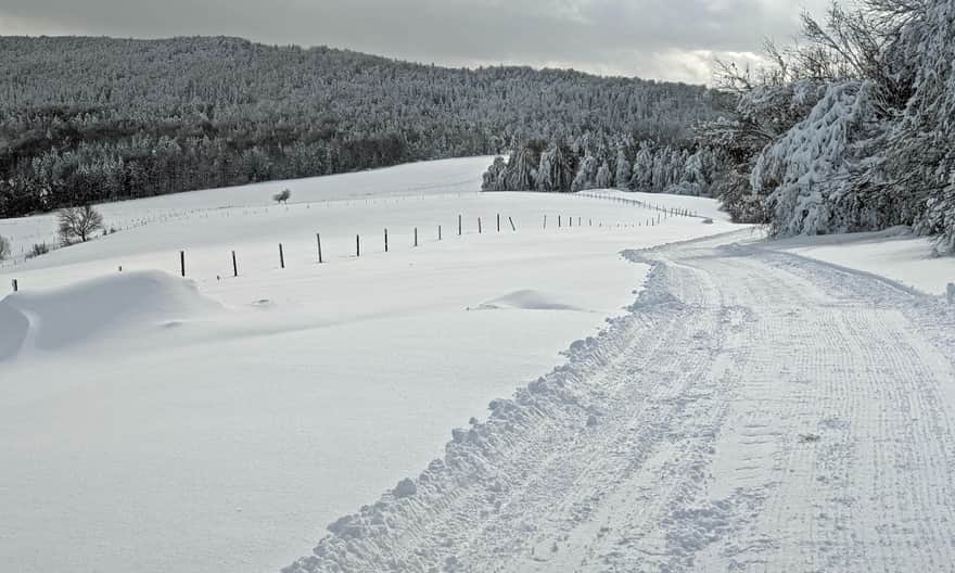 Puławy Górne - cross-country skiing, ski touring, walking trail