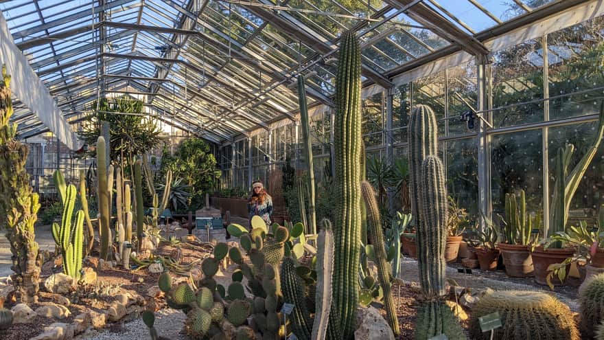 Szklarnia z kaktusami w Ogrodzie Botanicznym w Pizie