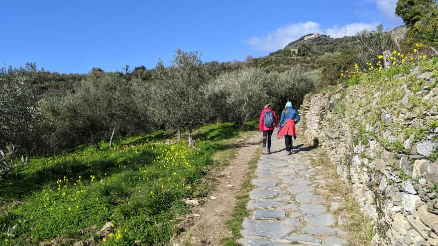 Trail to Vernazza, after the town of Corniglia