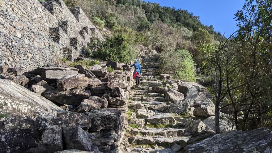 Stone stairs on the Corniglia-Vernazza trail