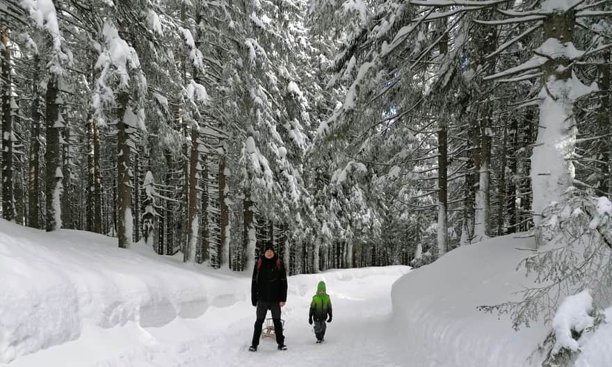 Black trail to Psia Trawka in winter, photo by A. Rogulska