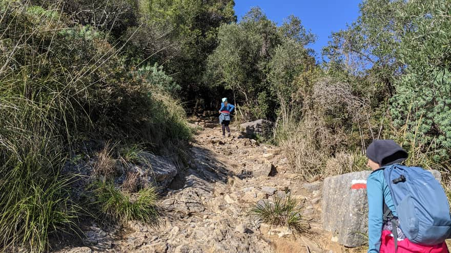 Trail towards Campigli - we are slowly approaching the fork - Rifugio Muzzerone point