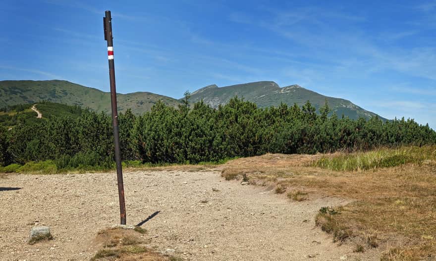 Charakterystyczne 3 wierzchołki Dziumbiera widoczne z czerwonego szlaku Czertovica - Dziumbier