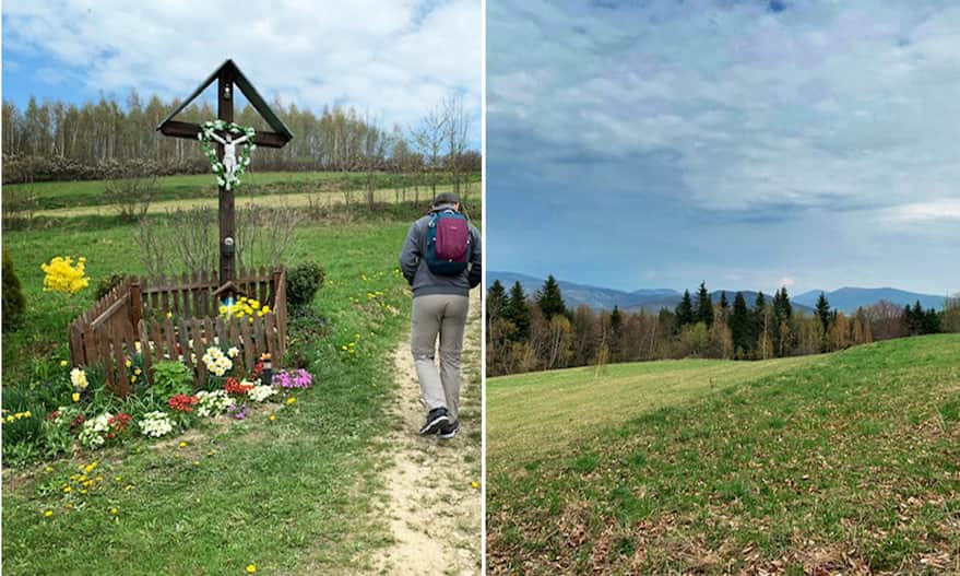 Szlak na Zębalową, widokowa łąka. Fot. M. Jantas