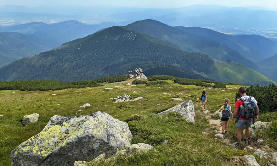 Żółty szlak - zejście z Dereszy do Sedla Prislop