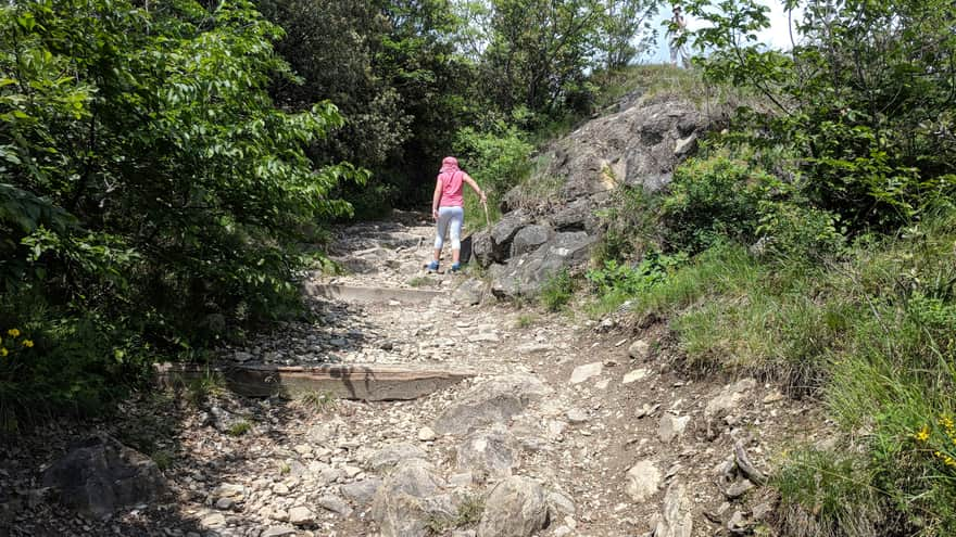 Hiking trail on Monte Brione