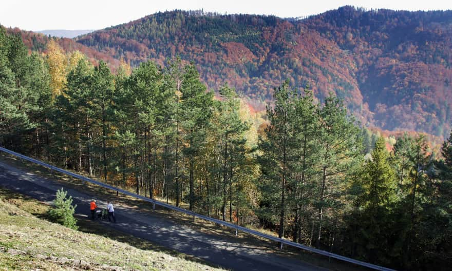 Mount Żar - asphalt access road to the summit.