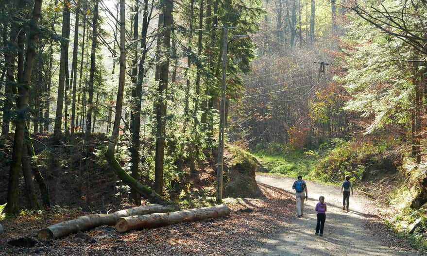 Start of the yellow trail from Rzyki to Łamana Skała