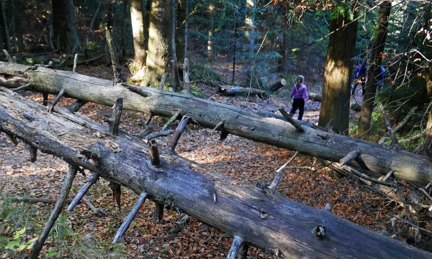 Rezerwat Madohora na Łamanej Skale