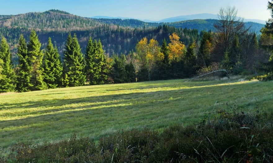 Widok z Potrójnej - po prawej Babia Góra, w oddali Tatry