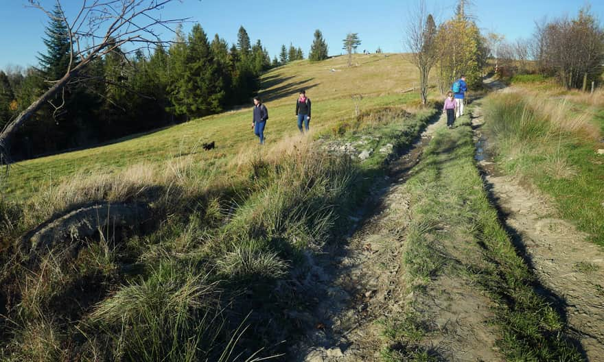 Potrójna settlement - meadows on Czarny Groń