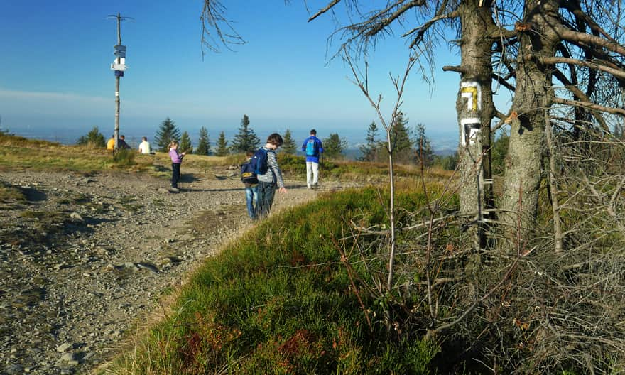 Black trail from the Potrójna settlement to Rzyki