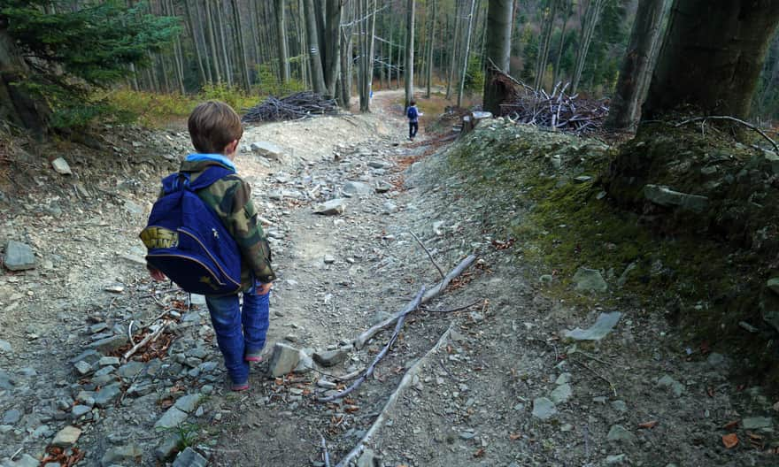 Black trail: descent from Potrójna to Rzyki