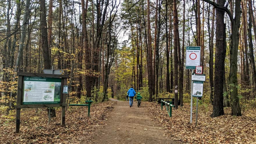 Wejście do Lasu  Zabierzowskiego od strony ul. Leśnej i Radaru Zapałka