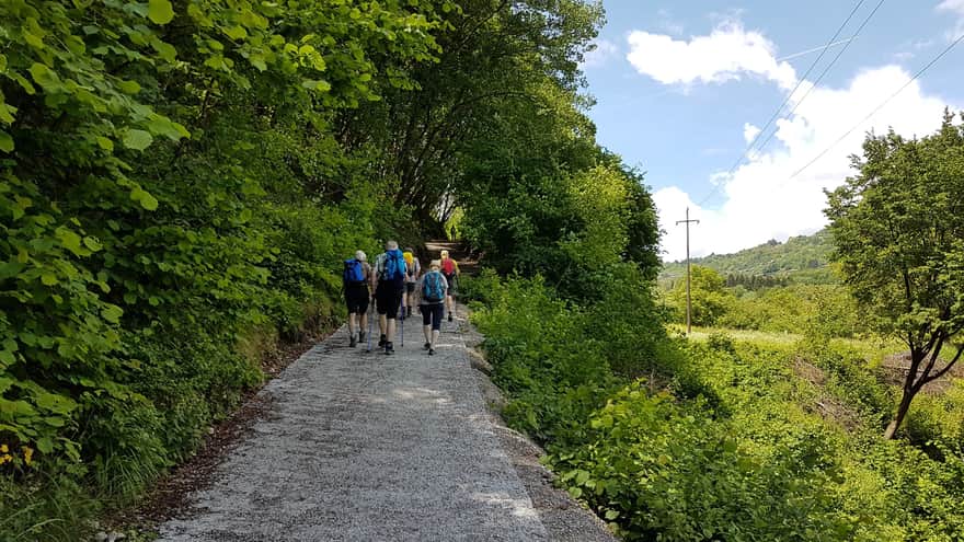 Trail towards Lake Ledro
