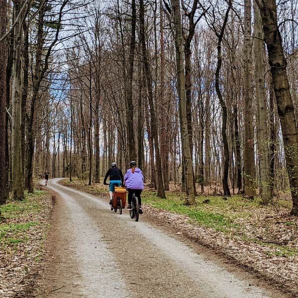 Las Zabierzowski - ścieżka na rower lub wózek Zabierzów-Kleszczów