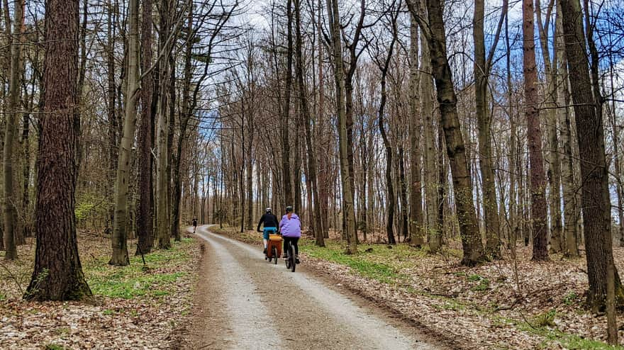 Zabierzów Forest