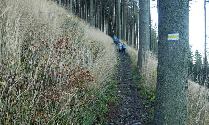 Yellow trail to Mała Czantoria