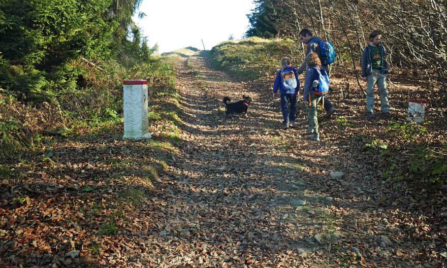 Green trail between Mała and Wielka Czantoria