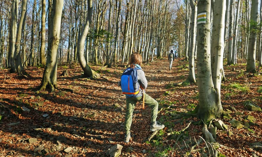 Yellow trail to Mała Czantoria