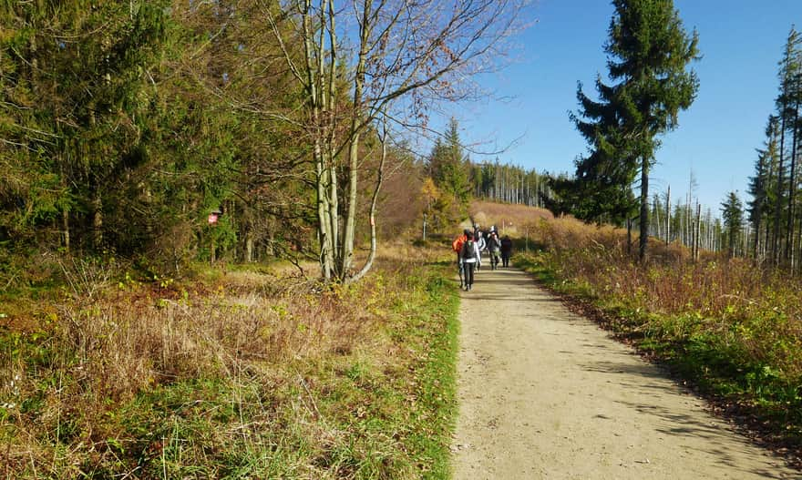 Road from the shelter to the top of Wielka Czantoria