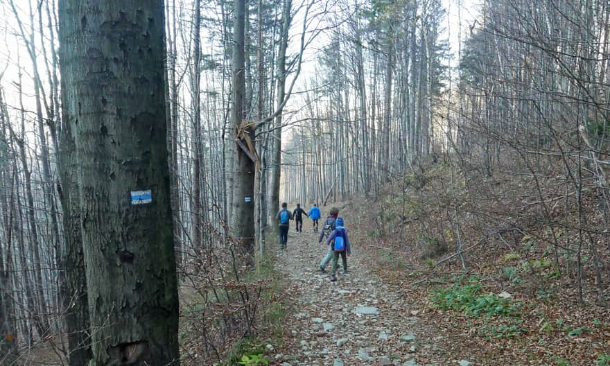 Blue trail - descent from Wielka Czantoria