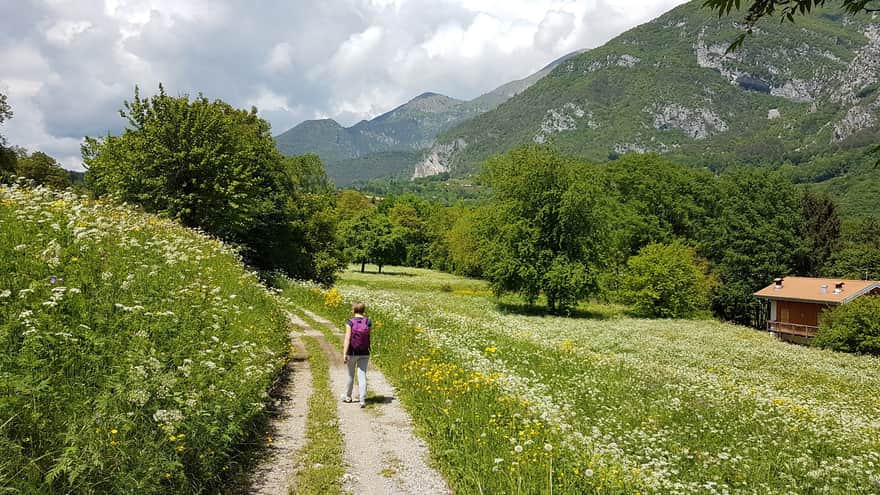 Trail towards Lake Ledro