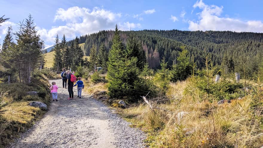 Green trail from Wierch Poroniec parking lot to Rusinowa Polana