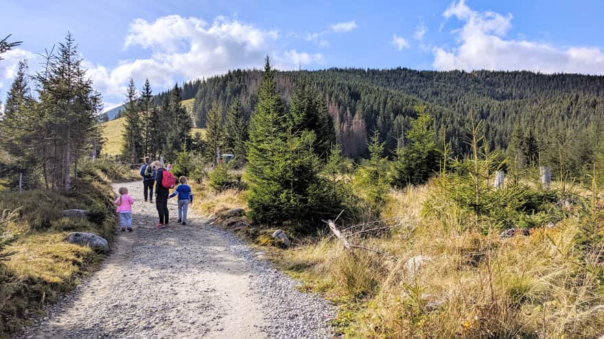 Green trail from Wierch Poroniec parking lot to Rusinowa Polana