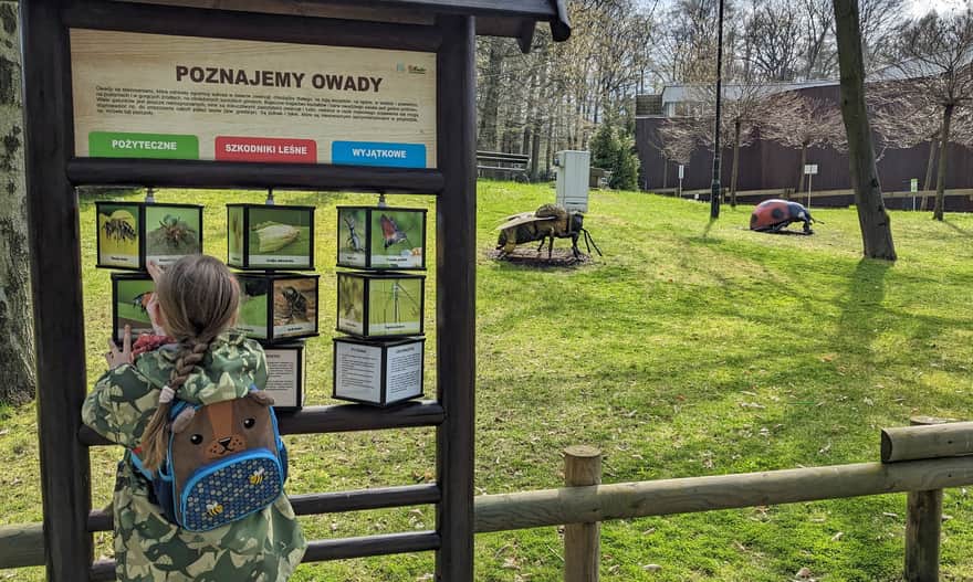 Kącik owadów w Krakowskim Zoo