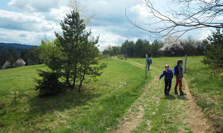 Krowia Góra (between Ruskówka and Końcówka settlements)