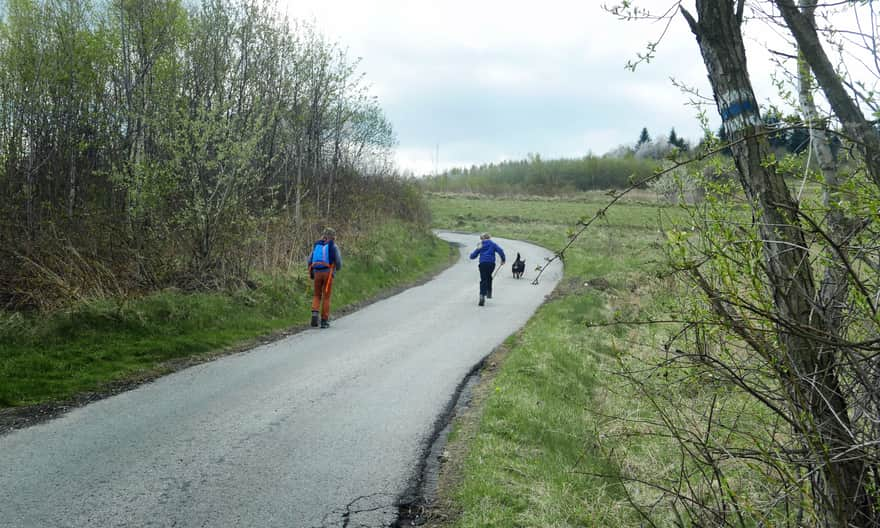 Road from Sanguszki Pass to Ruskówka