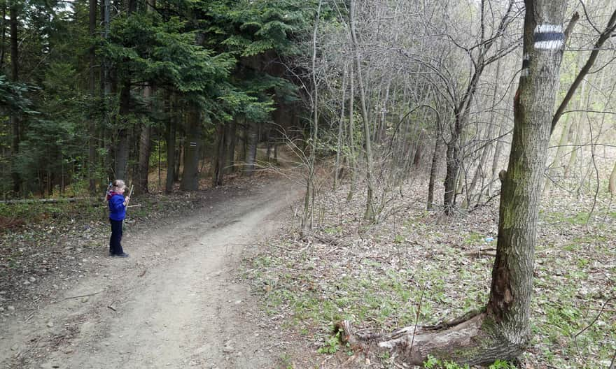 Descent on the black trail from Babica towards Cisy Raciborskiego