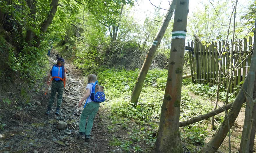 Start of the green trail in Skomielna Czarna