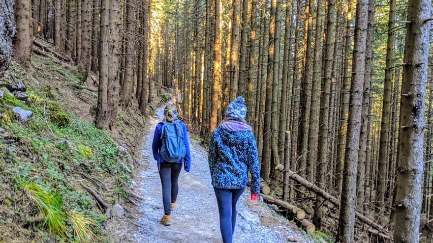 Trail to Hala Kondratowa