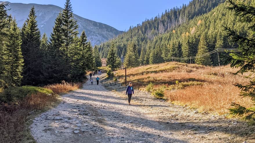 Trail to Hala Kondratowa