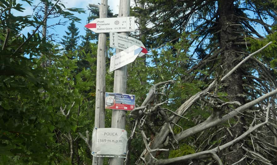 Summit of Polica, 1369 meters above sea level