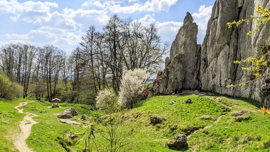 Bolechowicka Valley: picnic meadow, Bolechówka stream, rocky walls