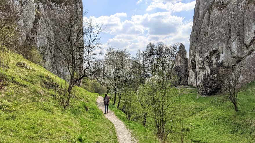 Path through Bolechowicka Valley