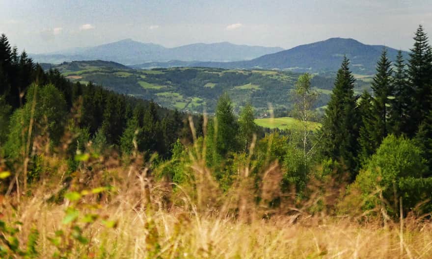 Widoki z zielonego szlaku na Jasień: Babia Góra i Pasmo Polic w tle, po prawej majestatyczny Luboń Wielki