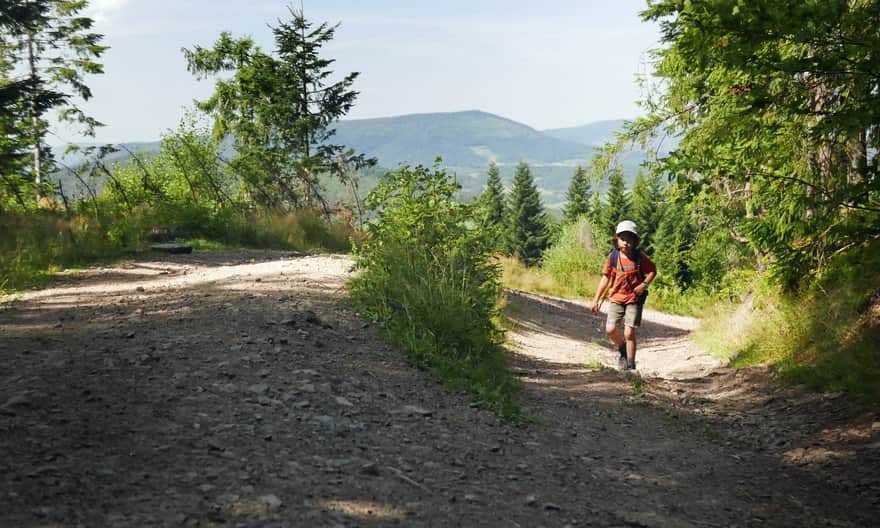 On the way to Jasień - scenic trail