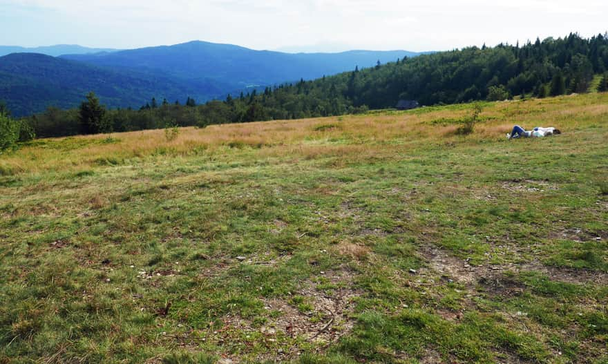 Polana Skalne between Kutrzycy and Jasień, view to the south