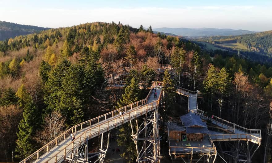 View from the "tree-top path" on Jaworzyna Krynicka