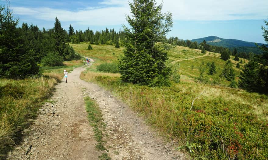 Polana Skalne between Jasień and Kutrzycy, with Mogielica in the background