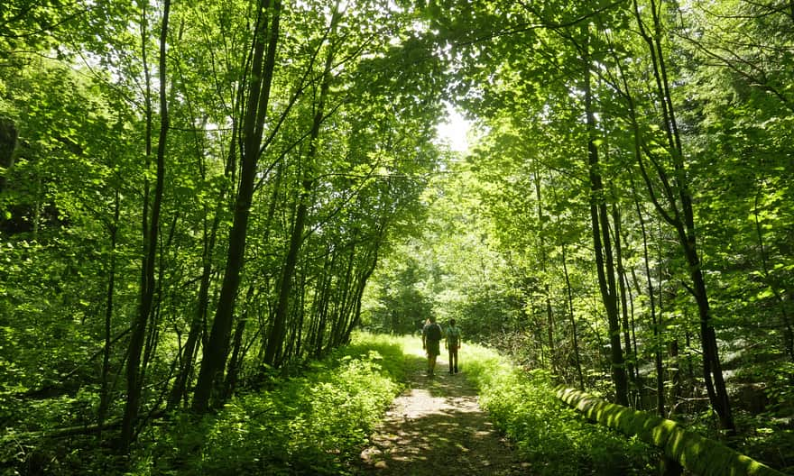 Beginning of the "Path of the First Day" - green trail